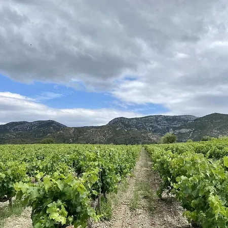 Camp De Baral - Between Vineyards And Mountains, Private Pool *