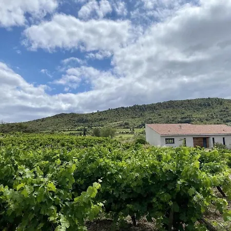 Villa Camp De Baral - Between Vineyards And Mountains, Private Pool *